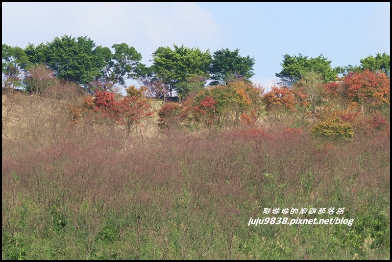 秀才登山步道76.JPG 秀才登山步道76.JPG