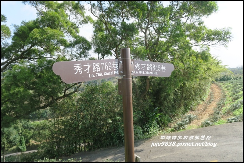 秀才登山步道77.JPG 秀才登山步道77.JPG