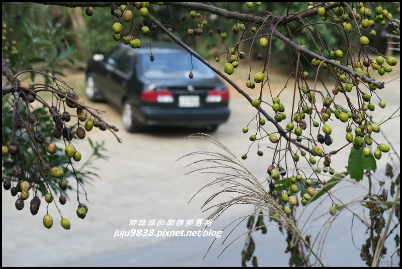 秀才登山步道80.JPG 秀才登山步道80.JPG
