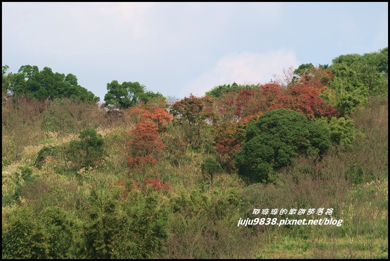 秀才登山步道85.JPG 秀才登山步道85.JPG