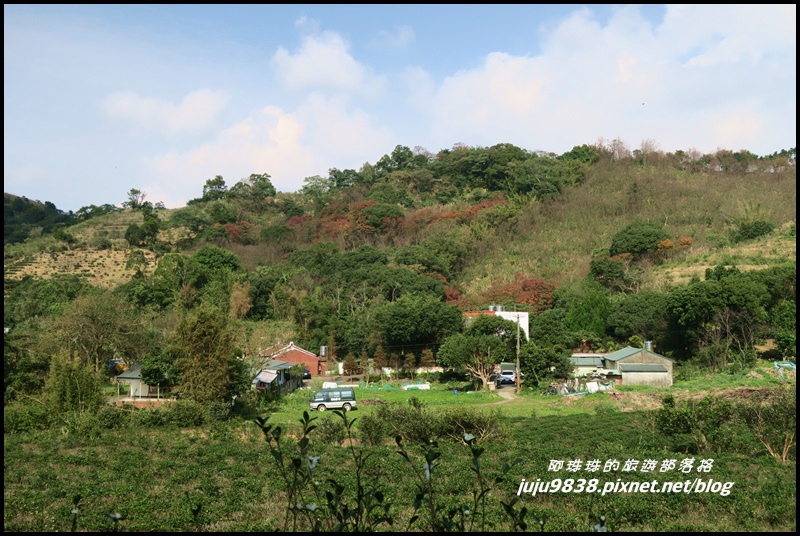 秀才登山步道86.JPG