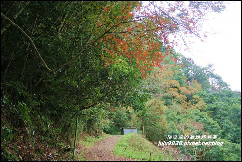 霞喀羅古道11.JPG 霞喀羅古道11.JPG