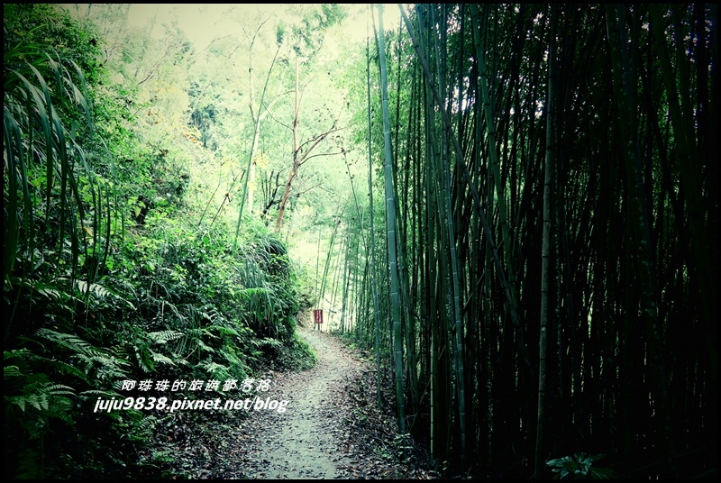 霞喀羅古道16.JPG 霞喀羅古道16.JPG