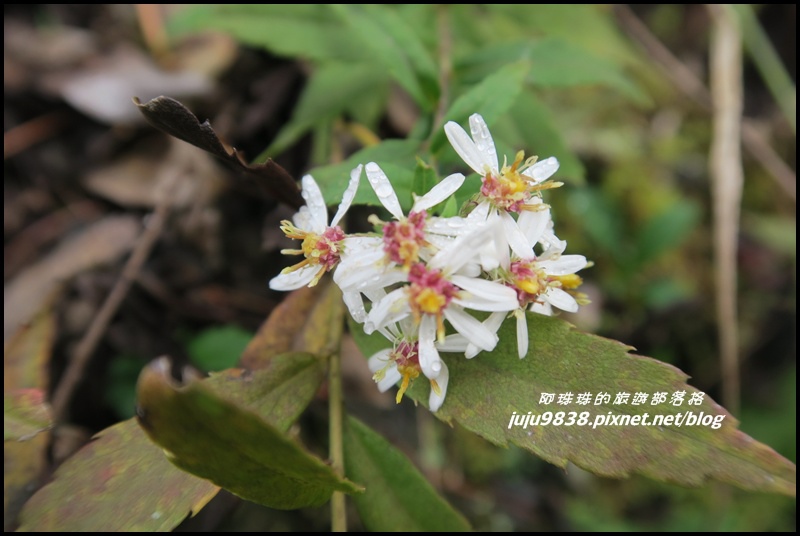 霞喀羅古道19.JPG 霞喀羅古道19.JPG