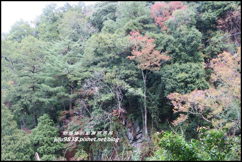 霞喀羅古道24.JPG 霞喀羅古道24.JPG