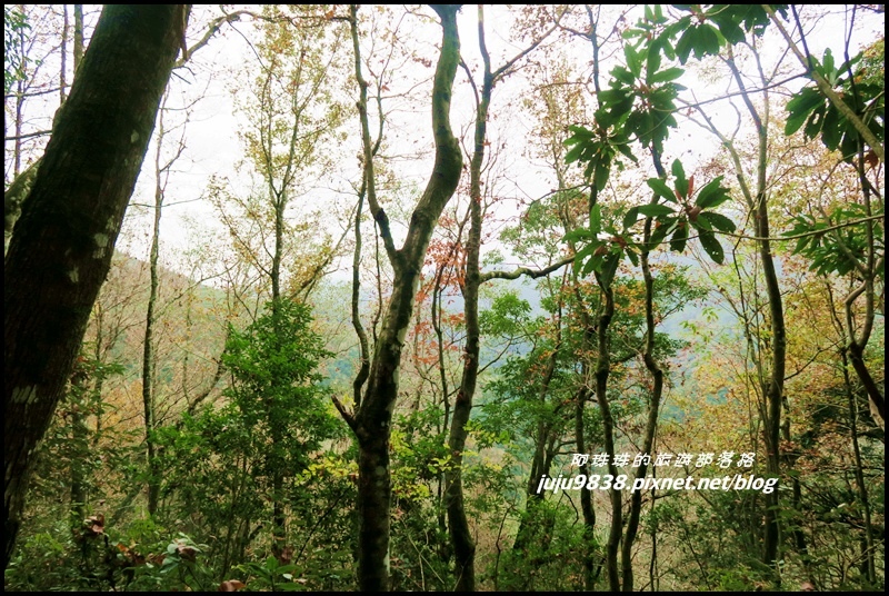 霞喀羅古道25.JPG 霞喀羅古道25.JPG