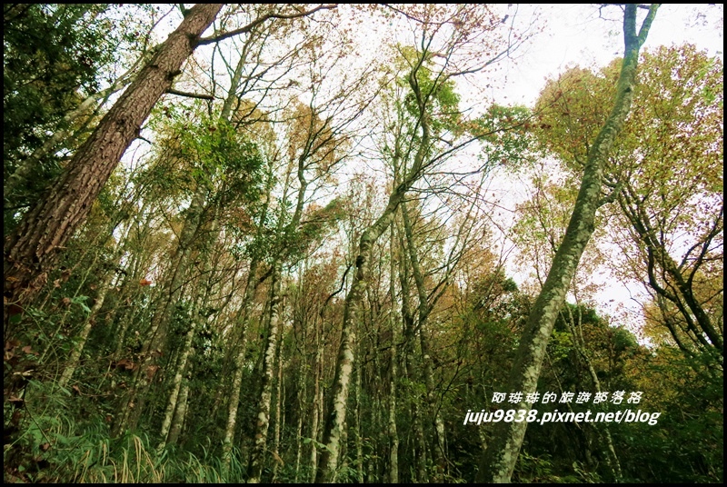 霞喀羅古道26.JPG 霞喀羅古道26.JPG