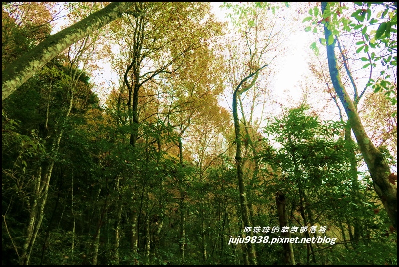 霞喀羅古道28.JPG 霞喀羅古道28.JPG