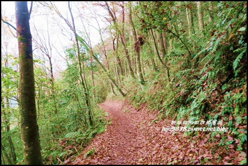 霞喀羅古道30.JPG 霞喀羅古道30.JPG