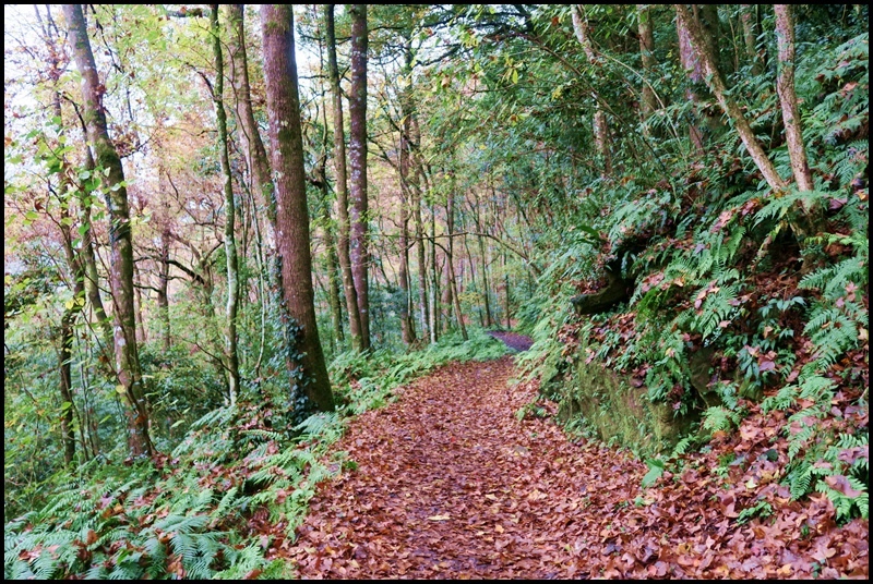 霞喀羅古道32.JPG 霞喀羅古道32.JPG