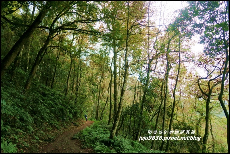 霞喀羅古道31.JPG 霞喀羅古道31.JPG