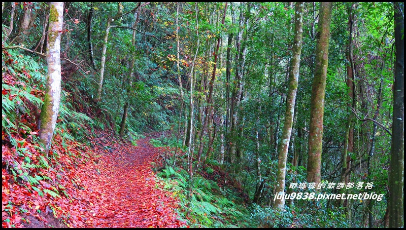 霞喀羅古道33.JPG 霞喀羅古道33.JPG