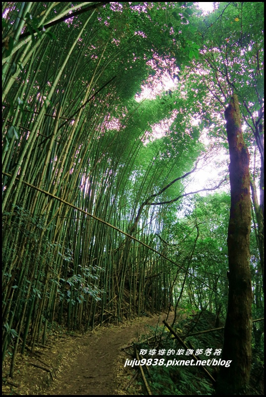 霞喀羅古道35.JPG