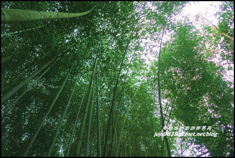 霞喀羅古道36.JPG 霞喀羅古道36.JPG