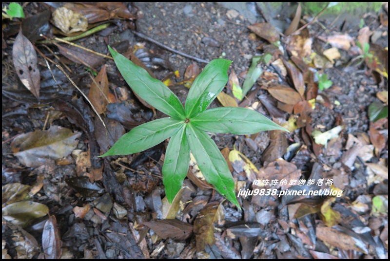 霞喀羅古道39.JPG 霞喀羅古道39.JPG