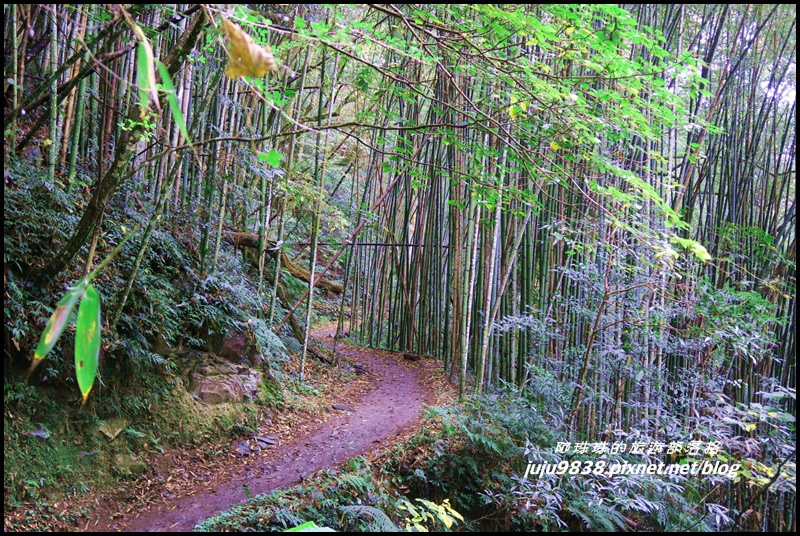 霞喀羅古道40.JPG 霞喀羅古道40.JPG