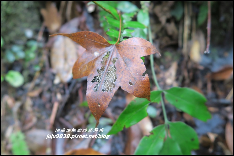 霞喀羅古道41.JPG 霞喀羅古道41.JPG