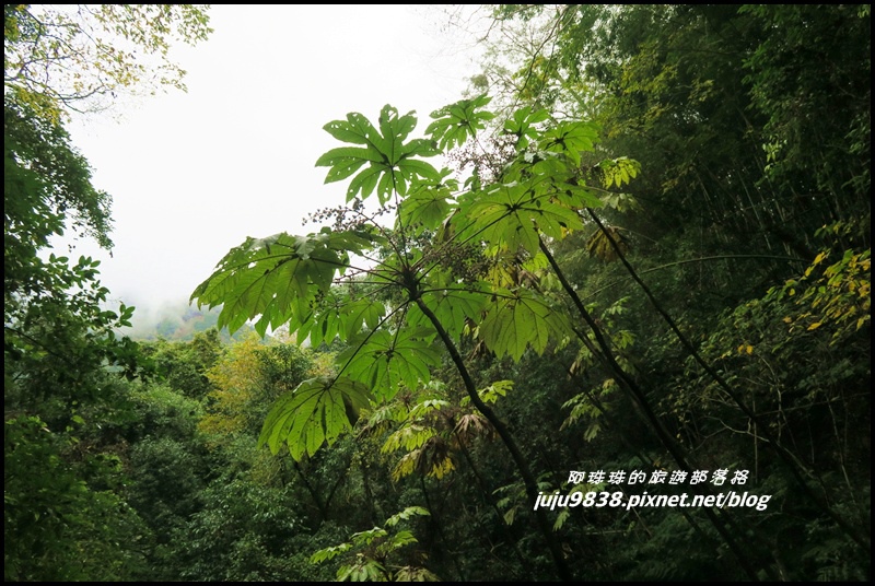 霞喀羅古道42.JPG 霞喀羅古道42.JPG