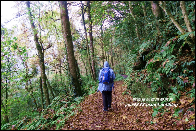 霞喀羅古道44.JPG 霞喀羅古道44.JPG