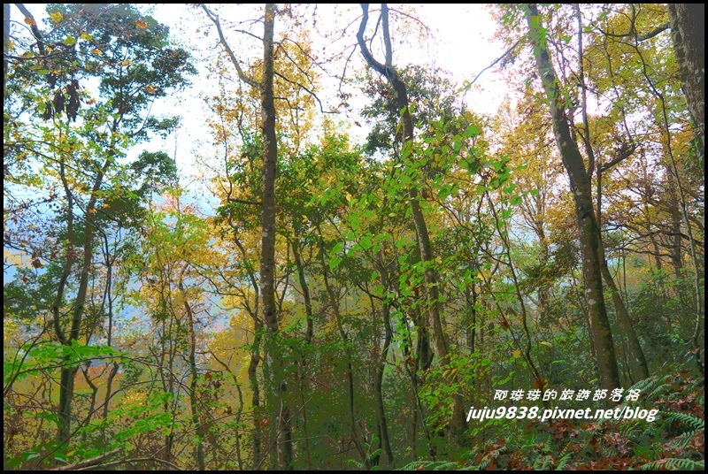 霞喀羅古道45.JPG 霞喀羅古道45.JPG