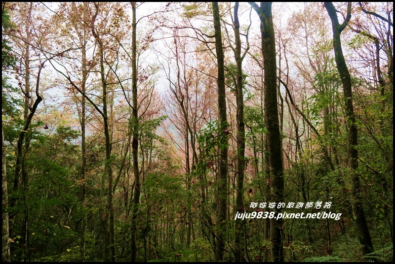 霞喀羅古道48.JPG 霞喀羅古道48.JPG