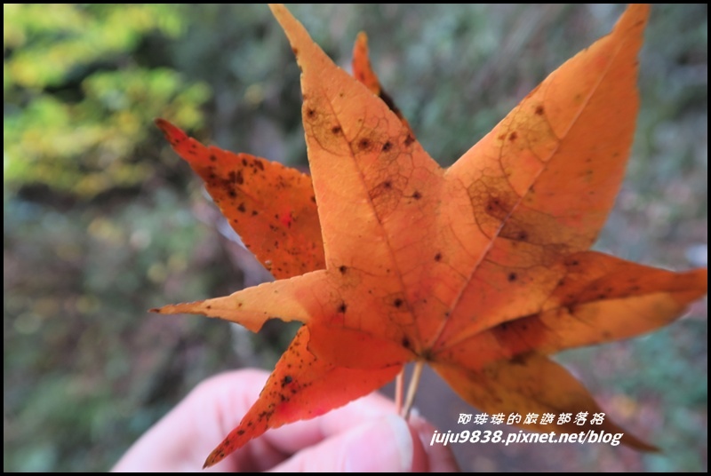 霞喀羅古道52.JPG 霞喀羅古道52.JPG