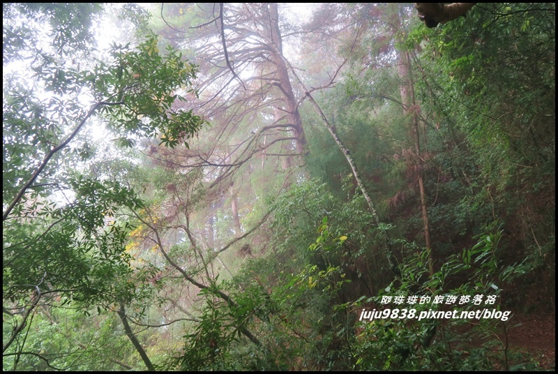 霞喀羅古道53.JPG 霞喀羅古道53.JPG