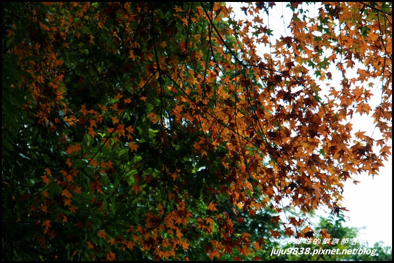 霞喀羅古道67.JPG 霞喀羅古道67.JPG