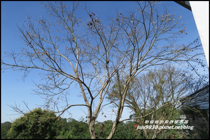 角板山1.JPG 角板山1.JPG