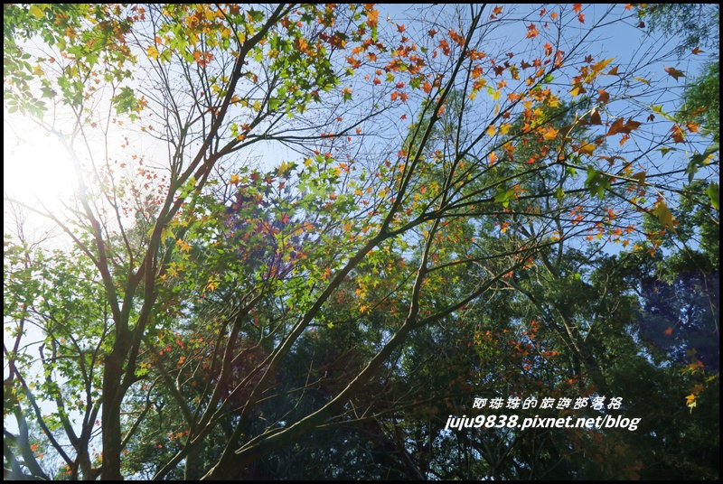 角板山4.JPG 角板山4.JPG