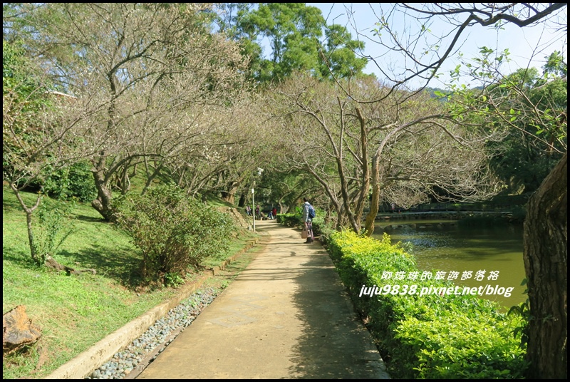 角板山6.JPG 角板山6.JPG