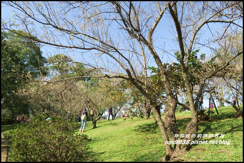 角板山8.JPG 角板山8.JPG