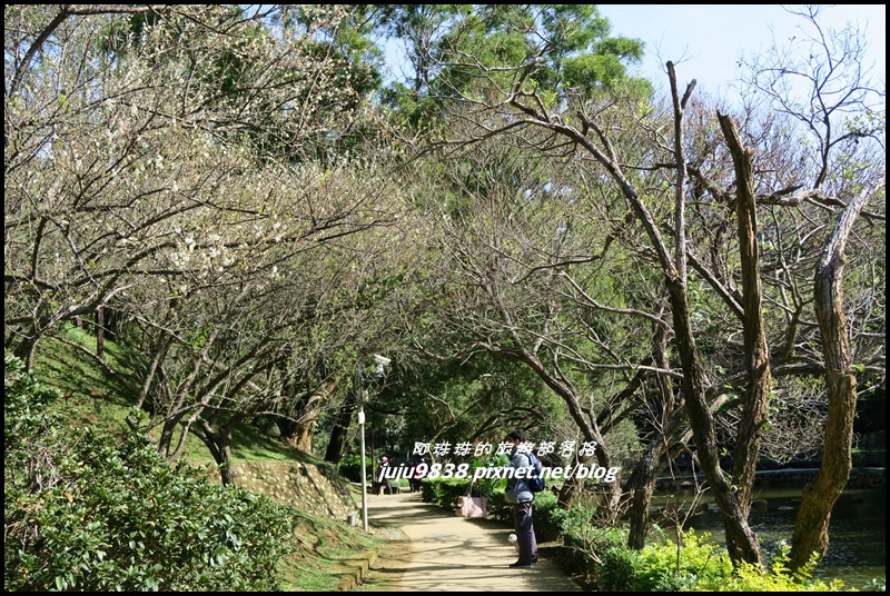 角板山7.JPG 角板山7.JPG