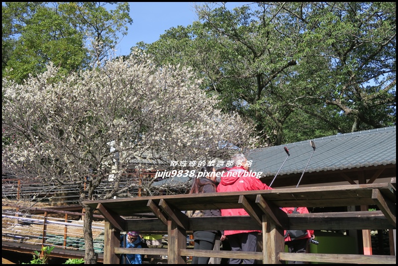 角板山9.JPG 角板山9.JPG