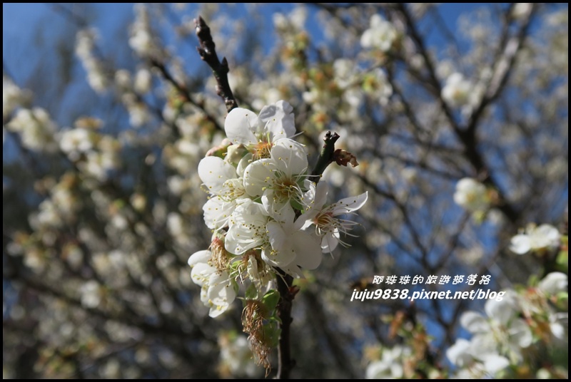 角板山10.JPG 角板山10.JPG