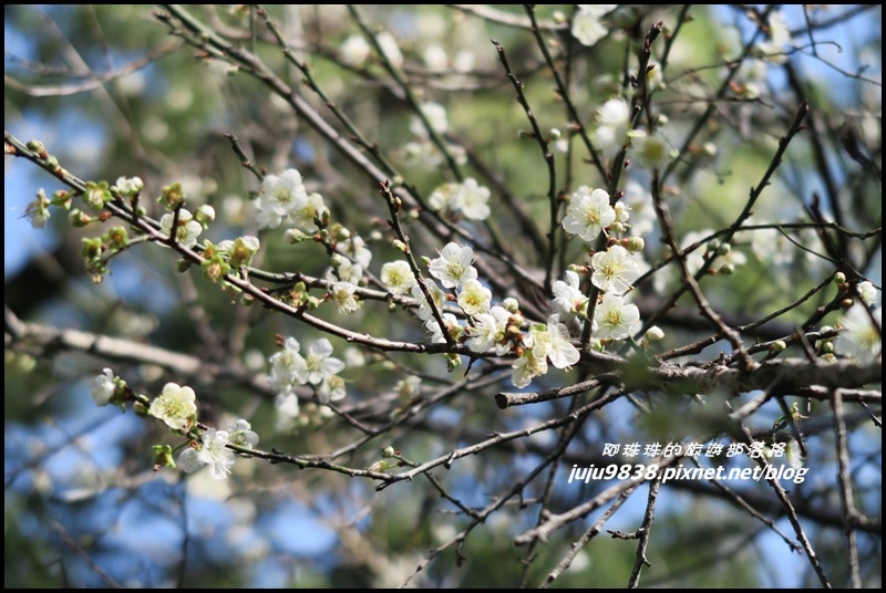 角板山23.JPG 角板山23.JPG