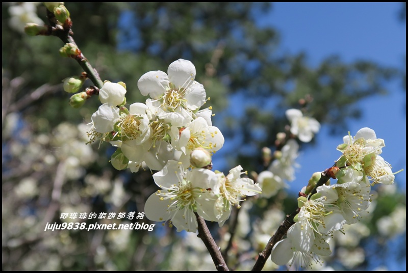 角板山28.JPG 角板山28.JPG