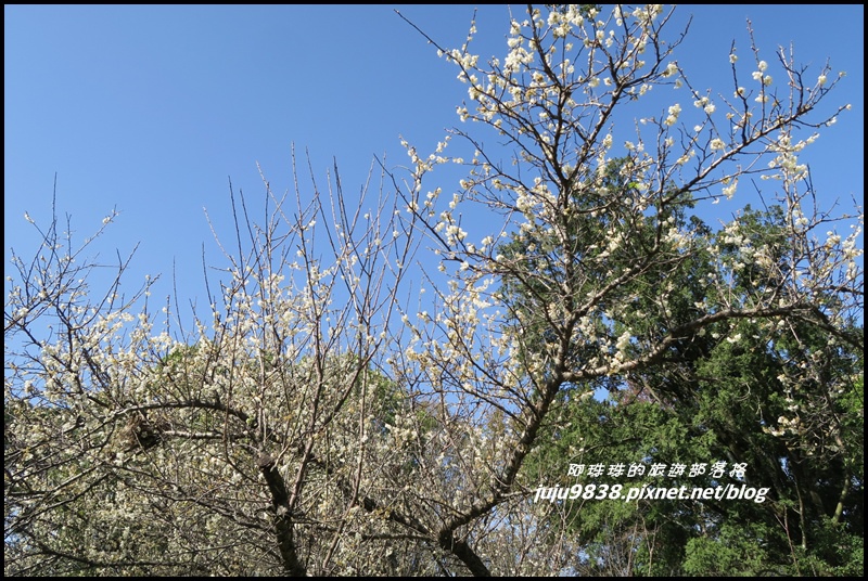 角板山30.JPG 角板山30.JPG