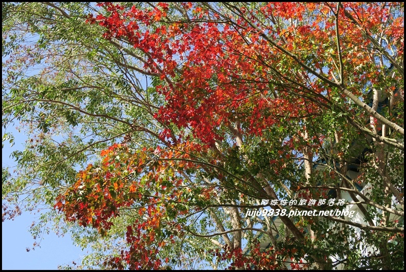 角板山36.JPG 角板山36.JPG