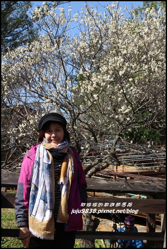 角板山38.JPG 角板山38.JPG