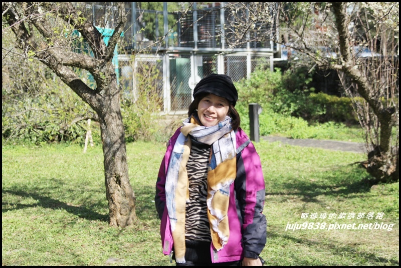 角板山42.JPG 角板山42.JPG