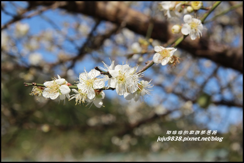 羅馬公路6.JPG 羅馬公路6.JPG