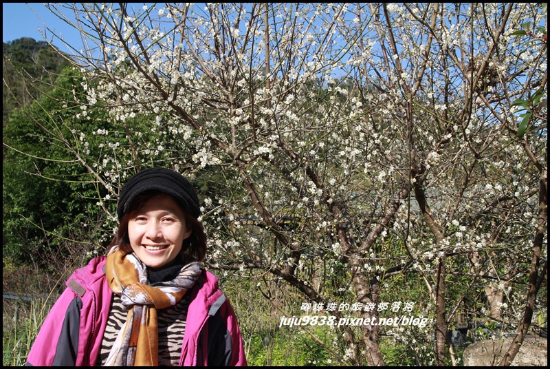 羅馬公路7.JPG 羅馬公路7.JPG