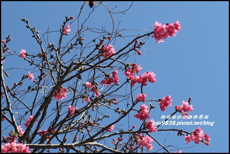 羅馬公路13.JPG 羅馬公路13.JPG