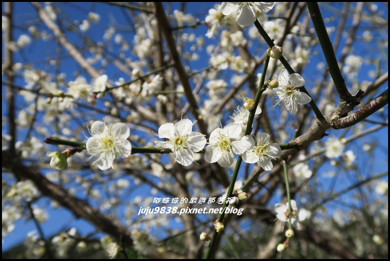 羅馬公路30.JPG 羅馬公路30.JPG