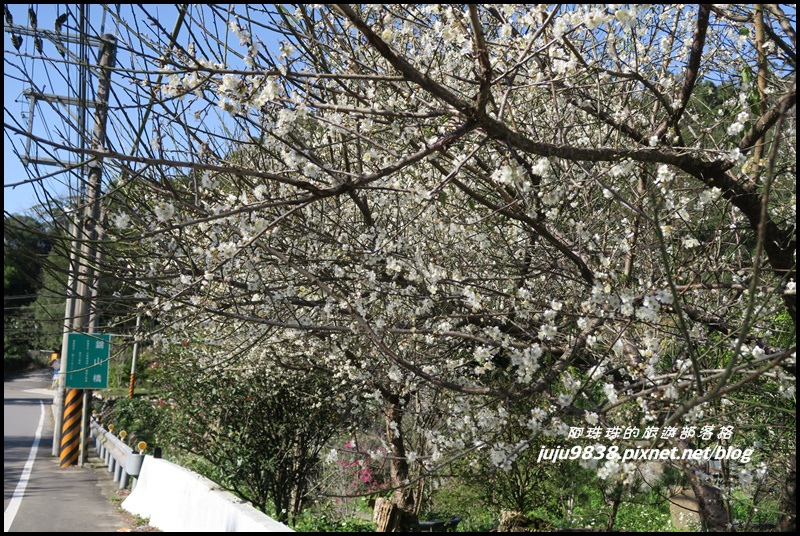 羅馬公路32.JPG 羅馬公路32.JPG