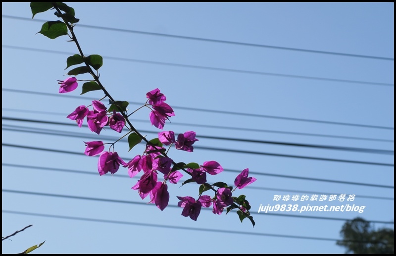 羅馬公路36.JPG 羅馬公路36.JPG