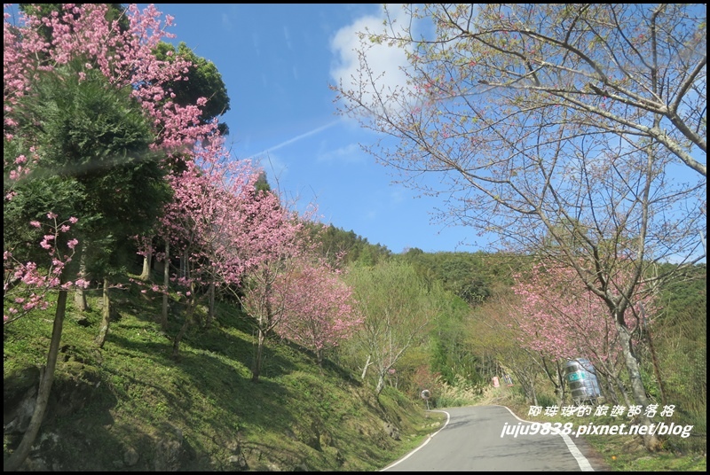 山上人家2.JPG 山上人家2.JPG