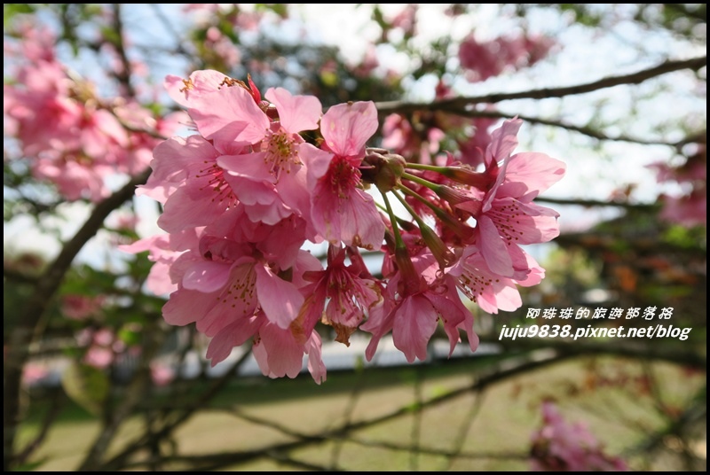 山上人家4.JPG 山上人家4.JPG