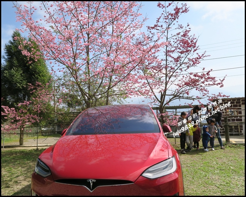 山上人家6.JPG 山上人家6.JPG